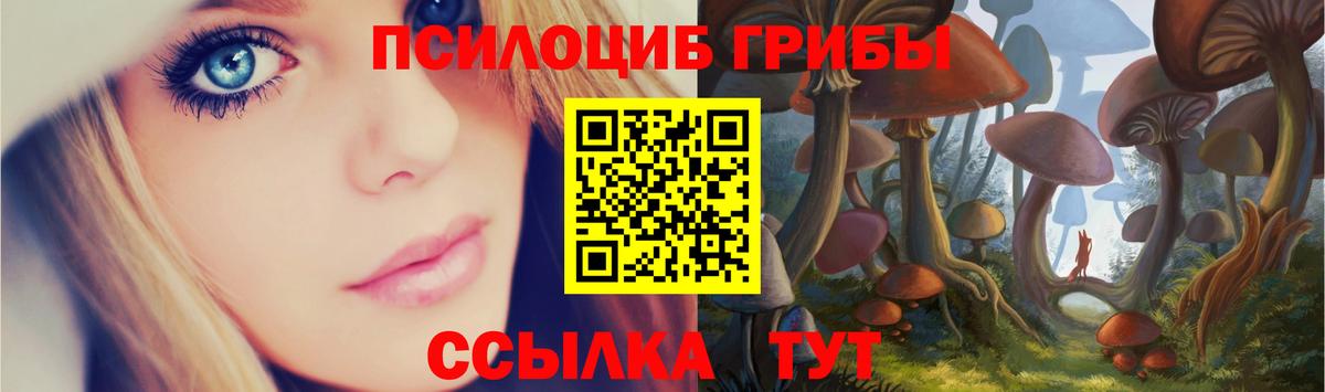 Коркино  Галлюциногенные грибы прущие грибы  Вход с VPN  Псилоцибиновые грибы мицелий 